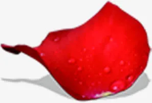 水珠玫瑰花瓣免抠