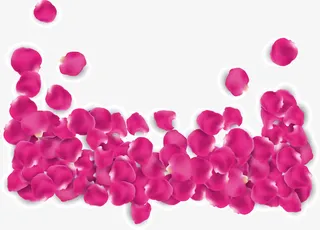 矢量手绘玫瑰花瓣免抠