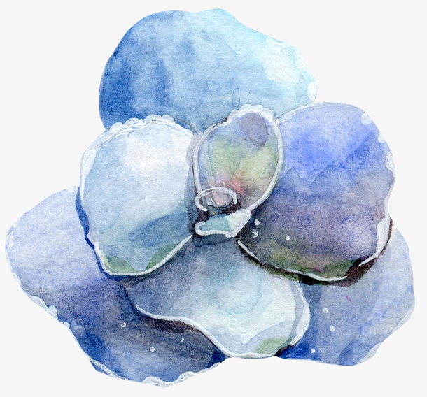 手绘创意蓝色花朵免抠图免抠