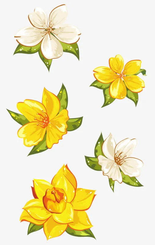 白色梨花免抠
