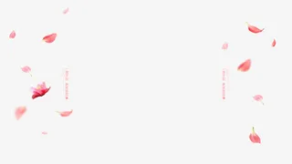 粉红色花瓣玫瑰花瓣免抠