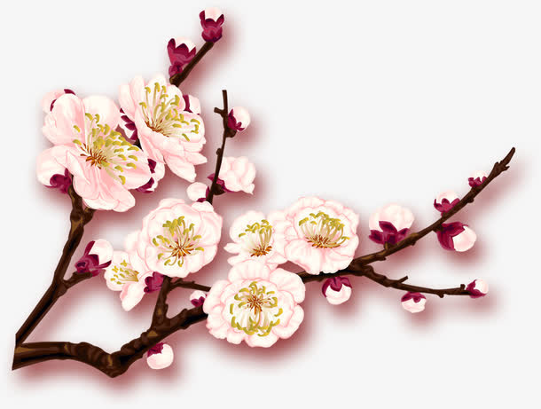 粉色梦幻冬季梅花装饰免抠