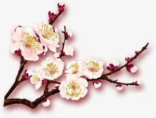 粉色梦幻冬季梅花装饰免抠