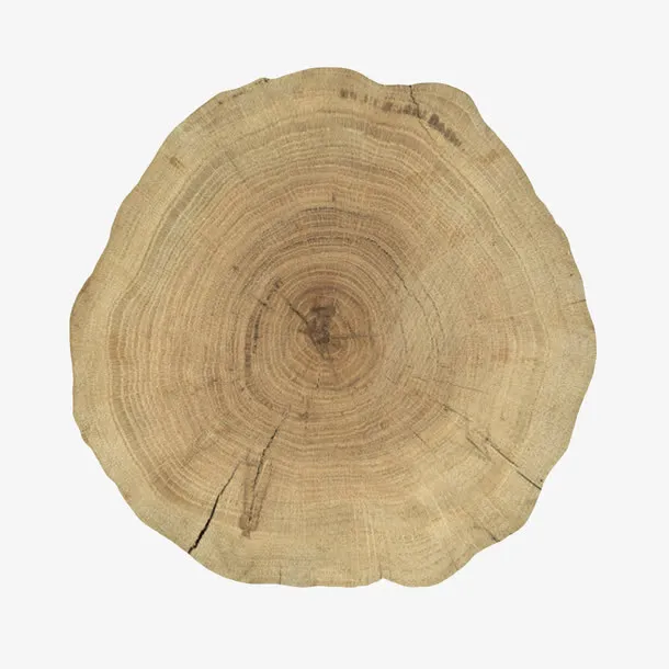 卡其色裂纹爆裂木头截面实物免抠