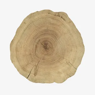 卡其色裂纹爆裂木头截面实物免抠