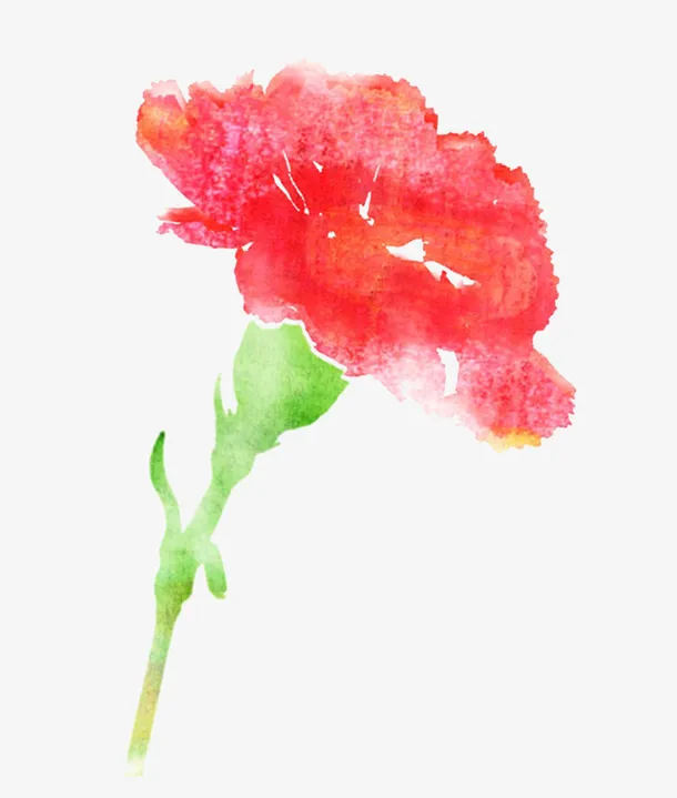 母亲节水彩手绘装饰插图康乃馨花免抠