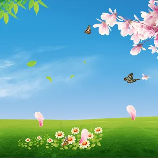 蓝天草地盛开的桃花花瓣主图背景高清