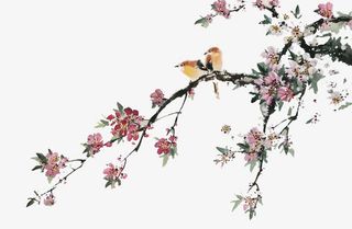 话梅和梅花免抠