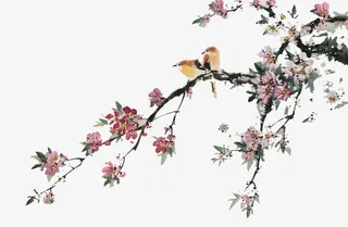 话梅和梅花免抠