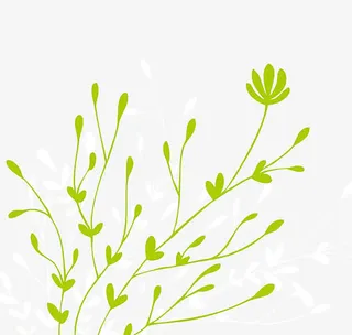 淡绿背景绿色枝条插画图片