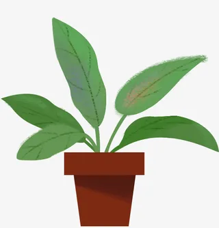 手绘绿植盆栽素材免抠