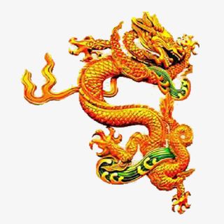 舞起来星光闪闪免抠