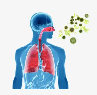 细菌如何进入人体免抠