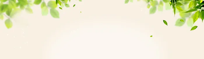 绿叶背景高清