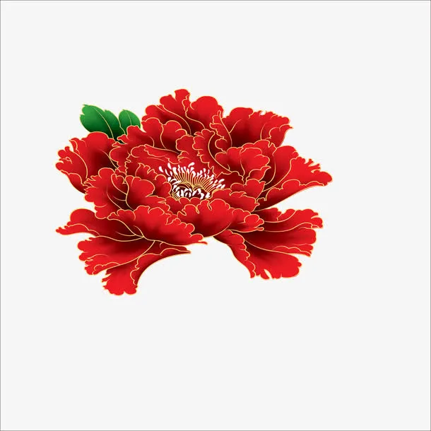 牡丹花免抠