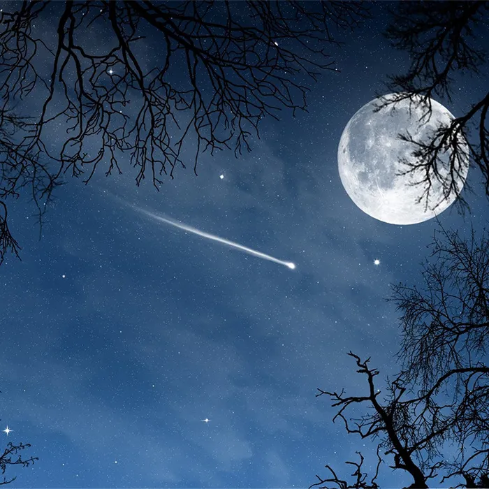唯美夜景背景高清