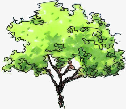 手绘树枝创意卡通免抠