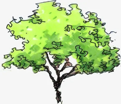 手绘树枝创意卡通免抠