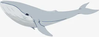 简约北欧风手绘鲸鱼免抠