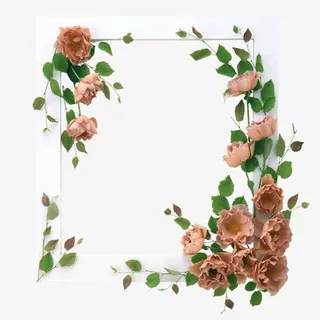 鲜花相框免抠