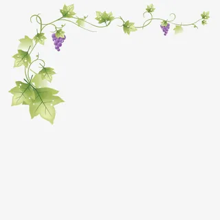 葡萄藤蔓免抠