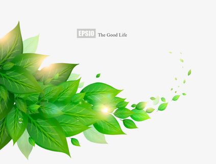 绿叶素材免抠标签元素