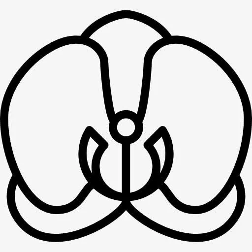 兰花图标免抠