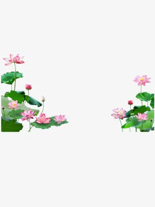荷花背景装饰图片