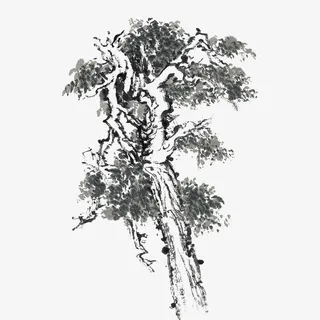 古人水墨老树免抠