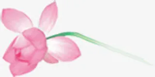 荷花花枝海报背景七夕情人节