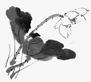 水墨荷叶 荷花免扣透明png高清图片免抠