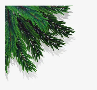 矢量圣诞松子树枝免抠