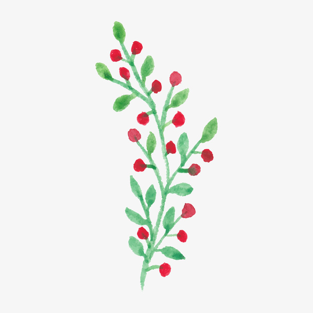 植物花卉素材花卉图片手绘免抠