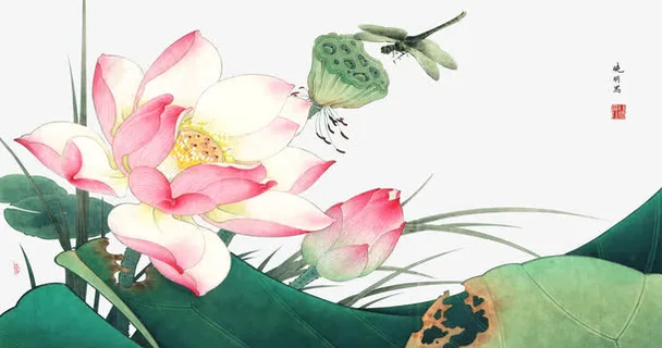 典雅荷花工笔画免抠