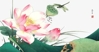 典雅荷花工笔画免抠