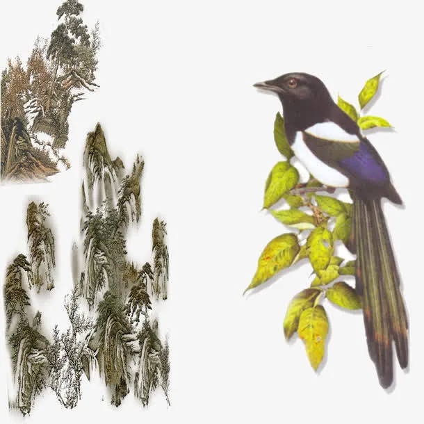 工笔花鸟免抠