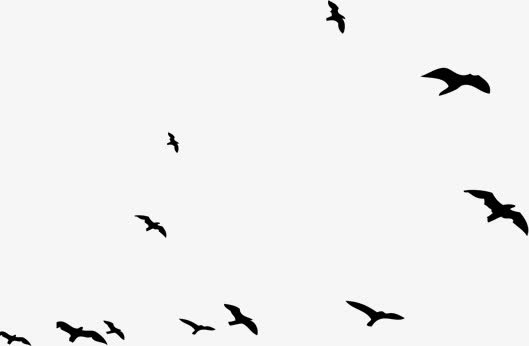 黑色梦想放飞飞鸟免抠