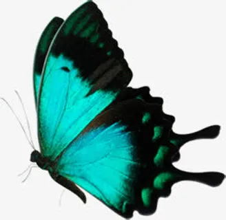 蓝色唯美蝴蝶美景免抠