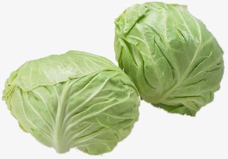 圆白菜免抠