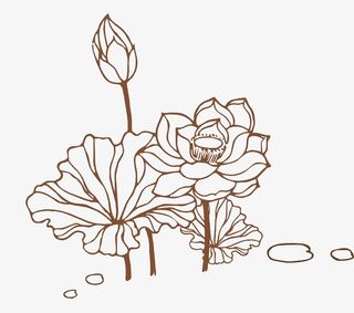 简笔画莲花儿图免抠