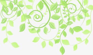浅绿色藤蔓卡通免抠
