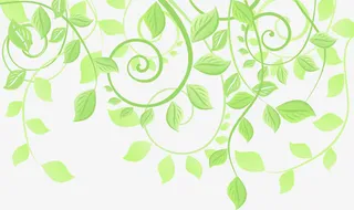 浅绿色藤蔓卡通免抠