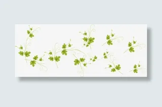 中国风绿色花朵装饰背景