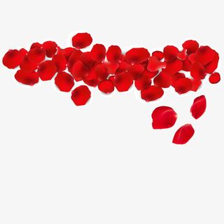 唯美玫瑰花花瓣素材下载免抠