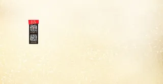 纯色背景纹理文字效果图片