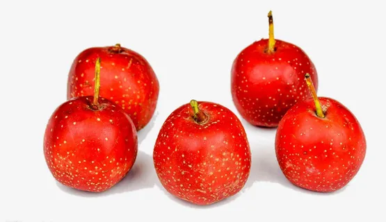 五个新鲜的小红果免抠