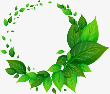 环形绿色叶子矢量图免抠