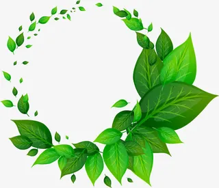环形绿色叶子矢量图免抠