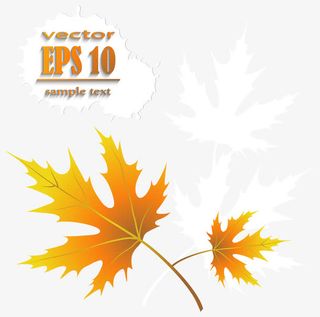 秋天植物叶片矢量免抠