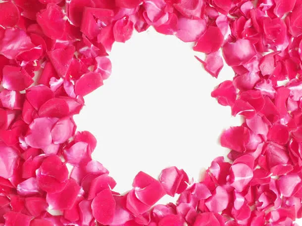 玫瑰花瓣免抠
